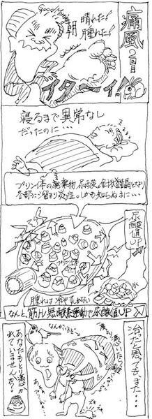 2013-06-28痛風.jpg